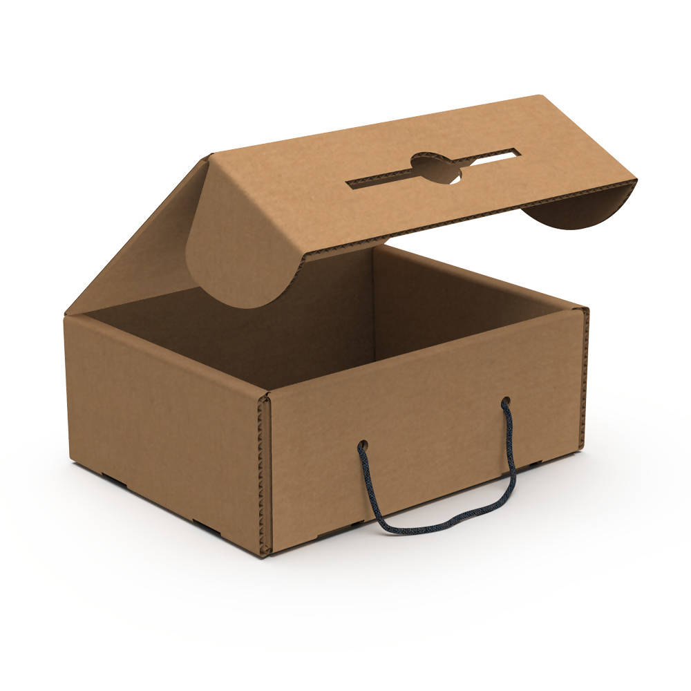 E-commerce Carry Box Extra Small (Bundle of 30 pcs)