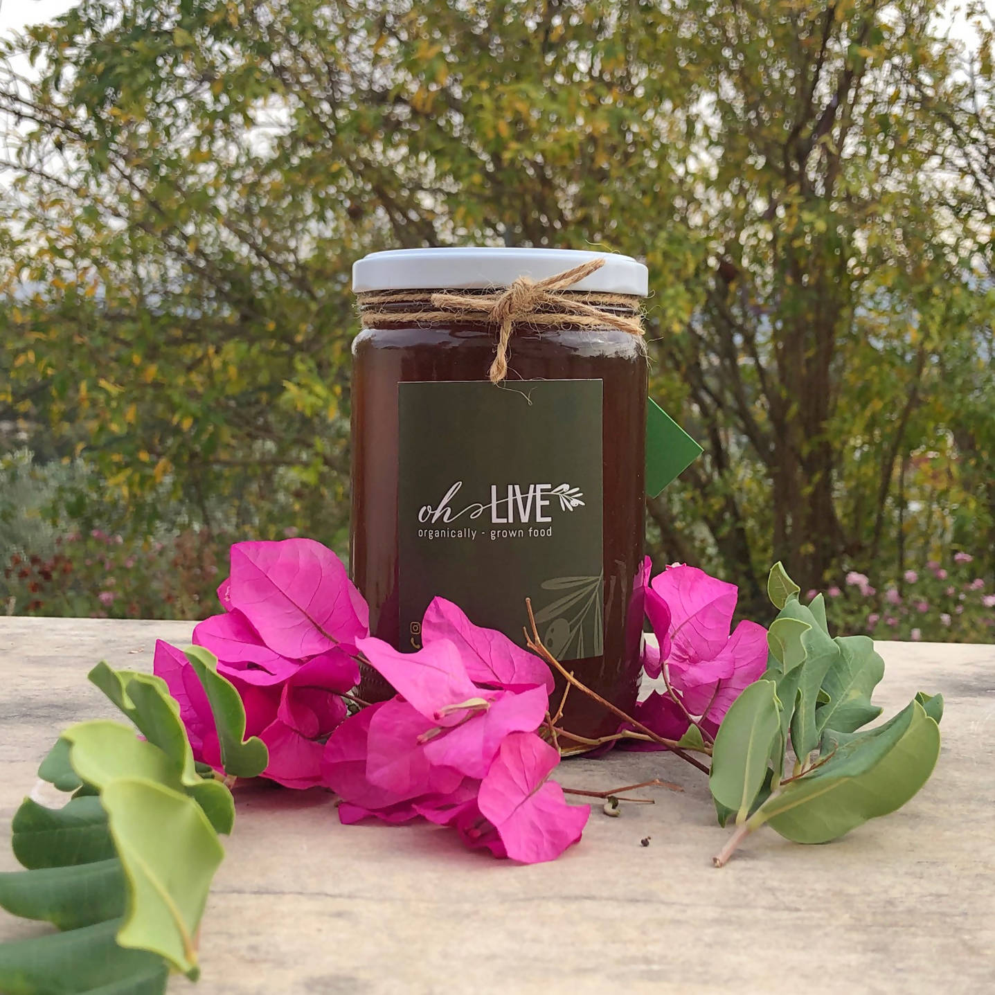 Ohlive Oak Honey