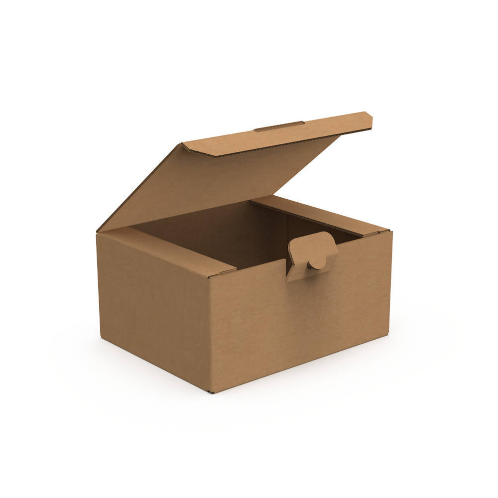 Self-locking Delivery Box Medium (Bundle of 25 pcs)