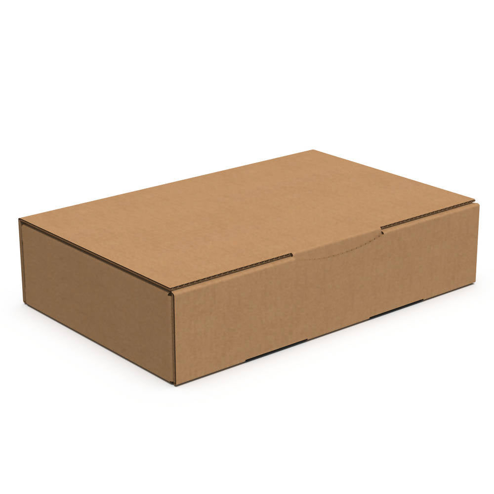 Eco Delivery Box S1 (Bundle of 20 pcs)