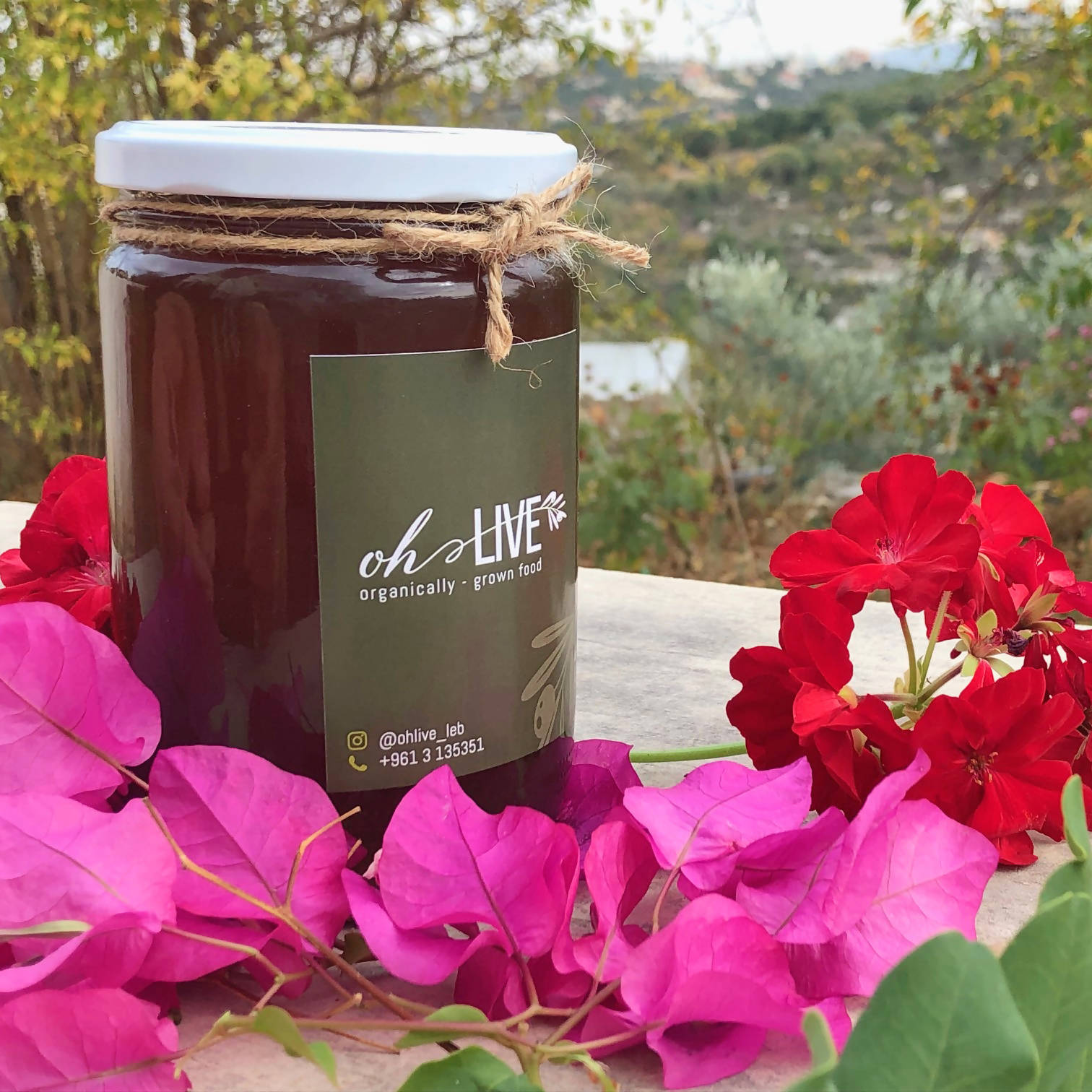 Ohlive Oak Honey