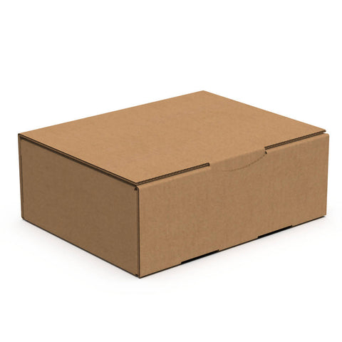 Eco Delivery Box Small (Bundle of 25 pcs)