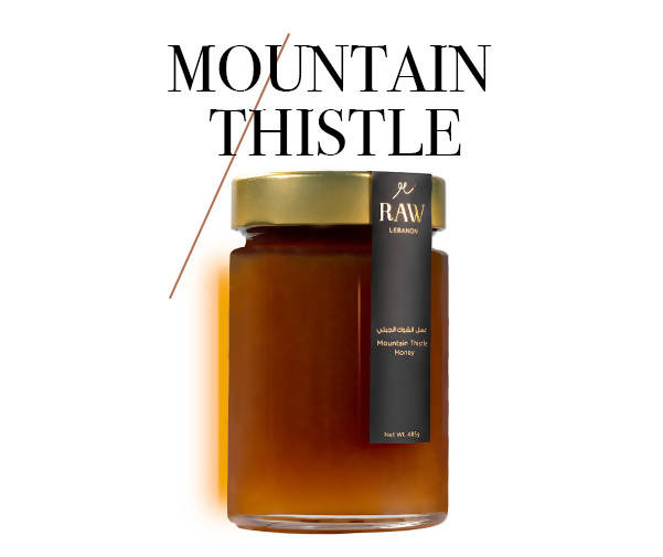 Mountain Thistle Raw Honey