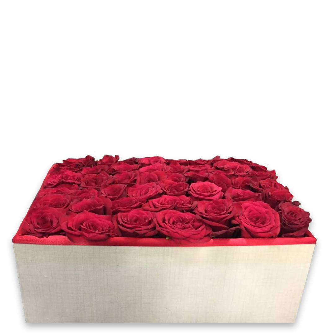 Big Red Roses Box